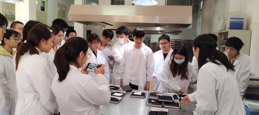 mmexport1764320045706