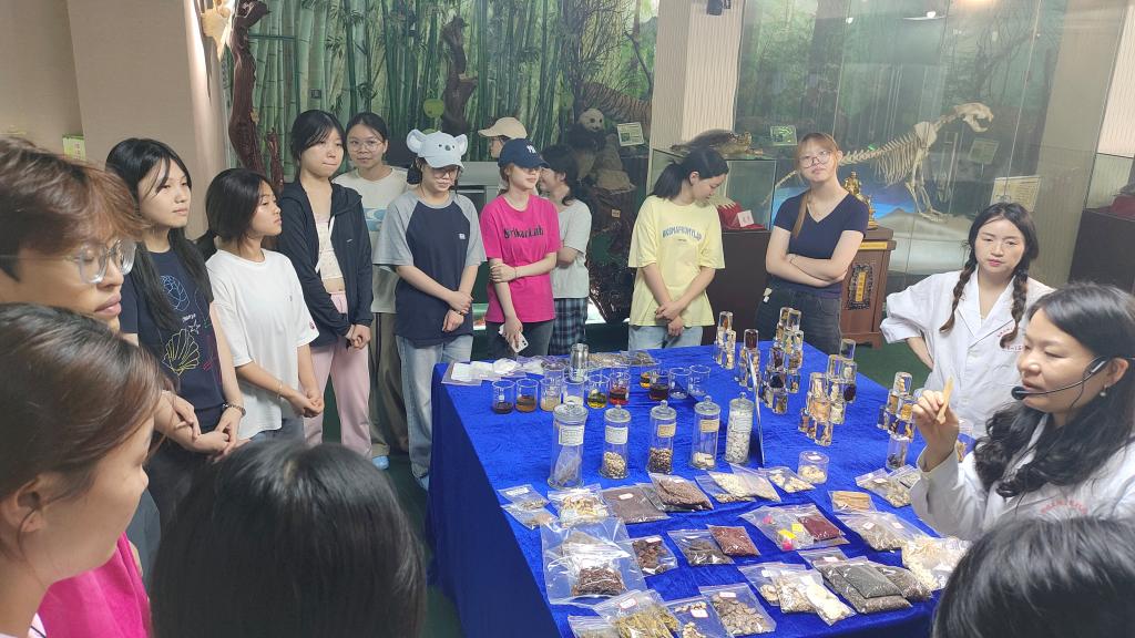 0fae82f1a187006cb3d2a27e4b29c3bd